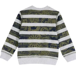 Felpe|Chicco Felpa Con Fantasia A Righe