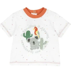 T-Shirt|Chicco Maglietta Manica Corta