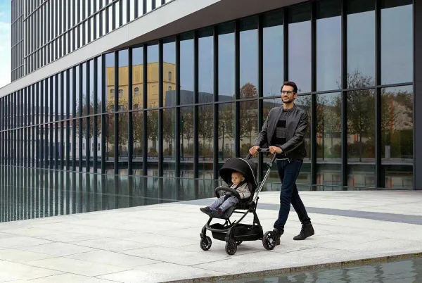 Passeggini|Chicco Passeggino One4Ever Silverleaf