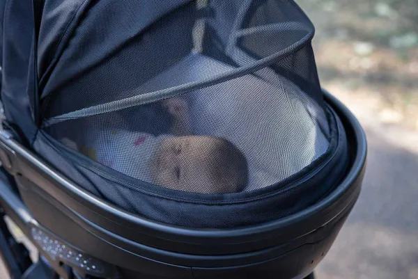 Trio E Sistemi Modulari|Chicco Trio Activ3 Con Kory Essential Dark Beige