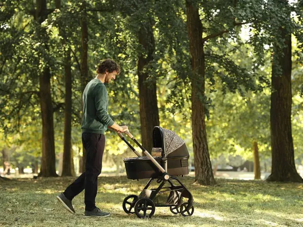 Trio E Sistemi Modulari|Chicco Trio Mysa Con Kory Essential - Special Edition