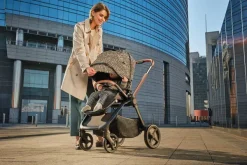 Trio E Sistemi Modulari|Chicco Trio Mysa Con Kory Essential - Special Edition